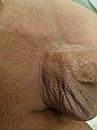 Goed kaal, foto 3000x4000, 0 reacties, 4 stemmen