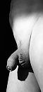 Goede morgen., foto 1212x2560, 1 reacties, 8 stemmen