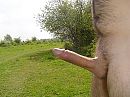 Goedeavond, foto 2048x1536, 6 reacties, 14 stemmen