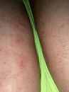 Goedemorgen, foto 2316x3088, 1 reacties, 3 stemmen