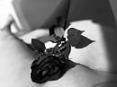 Goedemorgen, foto 4000x3000, 23 reacties, 70 stemmen