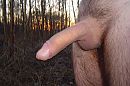 Goedemorgen, foto 2048x1360, 4 reacties, 10 stemmen