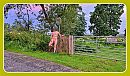 Goedemorgen, foto 1200x706, 3 reacties, 13 stemmen