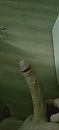 Goedemorgen, foto 1440x3120, 2 reacties, 4 stemmen
