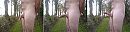 Goedemorgen, foto 4000x1005, 1 reacties, 6 stemmen