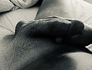 Goedemorgen, foto 2356x1800, 0 reacties, 1 stemmen