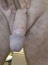 Goeiemorgen, foto 2544x3392, 2 reacties, 3 stemmen