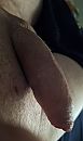 Good day sunshine, foto 2017x3362, 3 reacties, 5 stemmen