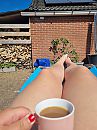 Goodmorning, foto 720x960, 14 reacties, 78 stemmen