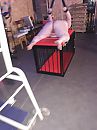 Gratis toegang, foto 1200x1600, 12 reacties, 63 stemmen