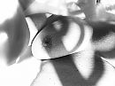 Gray, foto 2048x1536, 3 reacties, 45 stemmen