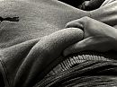 Grey sweatpants, foto 4000x3000, 5 reacties, 9 stemmen