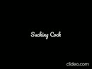 Gulzig pijpsletje, film 00:00:00, 1 reacties, 6 stemmen