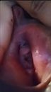 Haar kutje gespreid, foto 717x1280, 4 reacties, 23 stemmen