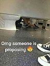 Haha, foto 600x790, 0 reacties, 10 stemmen