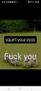 Haha, foto 945x2048, 0 reacties, 4 stemmen
