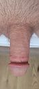 Hairy, foto 1801x4000, 1 reacties, 2 stemmen