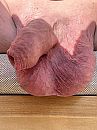 Hangzak, foto 1616x2154, 5 reacties, 8 stemmen
