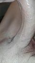 Hard en horny :P, foto 720x1280, 0 reacties, 0 stemmen