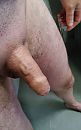 Heerlijk ff chill, foto 2500x4000, 5 reacties, 11 stemmen