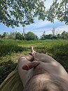Heerlijk genieten!, foto 3011x4000, 3 reacties, 16 stemmen