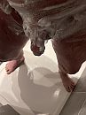 Here come’s the weekend, foto 3000x4000, 7 reacties, 20 stemmen