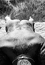 Here we go again, foto 1814x2571, 1 reacties, 4 stemmen