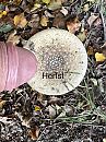 Herfst, foto 1508x2010, 1 reacties, 4 stemmen