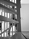 Hide and seek..., foto 2208x2944, 2 reacties, 2 stemmen