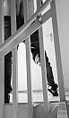 Hide and seek.., foto 1738x2897, 3 reacties, 2 stemmen