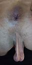 Hier mag iets lekkers in!, foto 1012x2048, 7 reacties, 18 stemmen