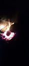 Hier nog een warm nacht, foto 1800x4000, 1 reacties, 2 stemmen