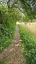 Hier.., foto 2252x4000, 11 reacties, 13 stemmen