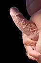 Hij is weer lekker hard!, foto 363x550, 3 reacties, 3 stemmen