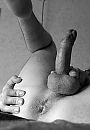 Hittegevoelig, foto 2086x2992, 7 reacties, 30 stemmen