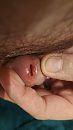 Hmm, foto 2250x4000, 2 reacties, 8 stemmen