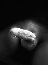 Hmmm, foto 2316x3088, 0 reacties, 0 stemmen