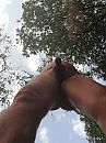 Hoog, foto 2556x3408, 3 reacties, 5 stemmen