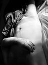 Horny Sunday, foto 2316x3088, 0 reacties, 0 stemmen