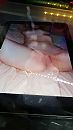 Horny again, foto 2250x4000, 0 reacties, 0 stemmen