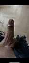 Horny day, foto 1170x2532, 18 reacties, 25 stemmen