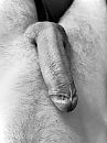 Horny in the morning., foto 3000x4000, 0 reacties, 1 stemmen