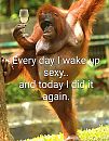 I did it again, foto 1056x1346, 2 reacties, 6 stemmen