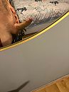 Iemand interesse????, foto 1536x2048, 1 reacties, 8 stemmen