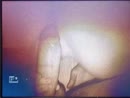 In het poesje, film 00:00:25, 2 reacties, 6 stemmen