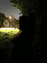 In de avond langs de weg, foto 3000x4000, 3 reacties, 46 stemmen