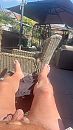 In de tuin, foto 2252x4000, 1 reacties, 2 stemmen