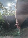In het zonlicht, foto 3000x4000, 0 reacties, 3 stemmen