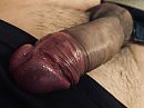 Interesse gewekt... ?, foto 4000x3000, 0 reacties, 1 stemmen