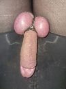 Is er weer klaar voor., foto 720x960, 2 reacties, 5 stemmen